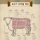 둥이요리