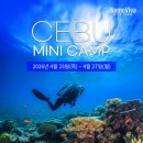 동양스프링 | 세부 스쿠버다이빙 후기｜막탄 다이빙 센터 3박 5일 투어 리얼 후기