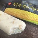 세븐일레븐 남양주 양정점 | 세븐일레븐 도시락 [치킨마요덮밥] 후기