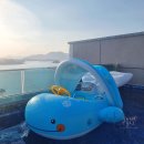 노블 루스트 이미지