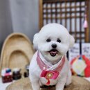 고요스테이 이미지