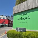 발터벤야민 | 티노 세갈 전시후기, 리움미술관