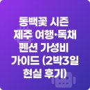 개화펜션 | 동백꽃 시즌 제주 여행·독채 펜션 가성비 가이드 (2박3일 현실 후기)