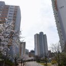 능동마을7단지앞 | [패밀리크린] 화성시 동탄 능동마을 휴먼시아7단지 입주청소 이사청소