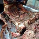 산천초목 이미지