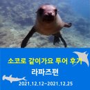 라파즈 다이빙 투어 - 같이가요투어 후기