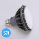 LONG 파30 LED 15W 확산형 주광색(흰색빛 6500K), 5개 이미지