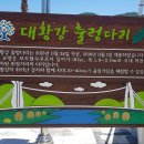 대황강 출렁다리 화장실 이미지