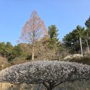 자산동247 이미지