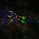 K.갤러리PC 이미지