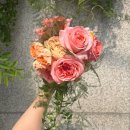 [청담] 바샤커피 청담 플래그십 스토어 내돈내산 솔직 후기(+근데 이제 호갱을 곁들인..)