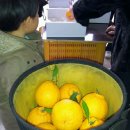 혜린농장 이미지