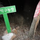 학구농장 Daum카페