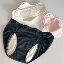 프리즘 | 이너시아 생리대 중형 냄새 더프리즘 내돈내산 후기