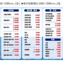 속초 오징어 어시장 이미지