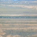 동주농장 이미지