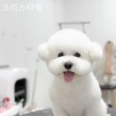 크리스타일 이미지