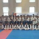 용인대박사태권도 이미지