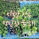 미소육묘장 이미지