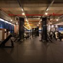 더스타핏 피트니스 이미지