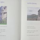 소도리