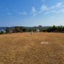 해뜰목장 이미지