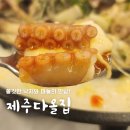만천로143번길 | [춘천낙지] 낙지 맛집 찾아간 제주다올집