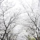 산곡천 산책로 이미지