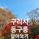구리시 동구릉 워크온 스탬프투어 챌린지도 하고 단풍구경도하고
