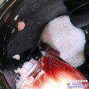 서울 마포구 서교동 :: 지모헤어 ( Zimo Hair) 홍대 붙임 머리 전문점 염색 후기