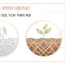 민앤민 티스토리