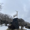 김정문화회관 공연장 | 한라산 1100고지 /제주 월드컵 경기장/제주 김정 문화회관