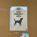 분당-41 | 분당영어회화 컬컴 서현 41회차 후기