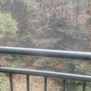 연제그린타워 이미지