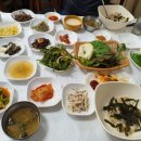 보리향기 Daum카페