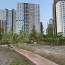 우두 근린공원 이미지