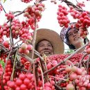 덕유산식품 이미지