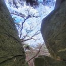 11월 15일 (토) 부산 금정산2탄 [하늘릿지] 100대 명산 산행안내 및 예약 이미지