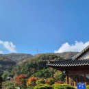 송림2길 이미지