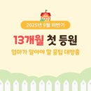 동성큰사랑어린이집 | 폭풍눈물 13개월 아기 어린이집 첫 등원 가이드 &amp; 엄마를 위한 육아 팁 🍼✨ 논문기반