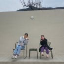 호화로이 이미지