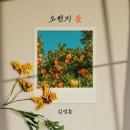 오렌지25