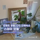 강원도 영월 감성숙소 추천 스테이브릴 10인도 거뜬한 단체펜션