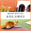 페루 북부 완차코] 포인트 브레이크에서 서핑하기