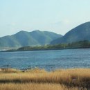 강 나 루 이미지