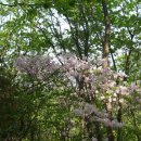 샘재로 3 이미지