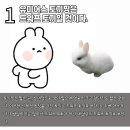 유미어스