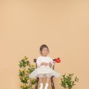 열매네스튜디오 이미지