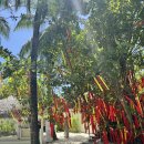 디바인리조트 | [몰디브] 럭스사우스 아리아톨_비치빌라, 마사지 특전, 레스토랑