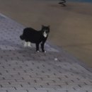 에이치디아이미디어 | 힘내야지 뭐어쩌겠어